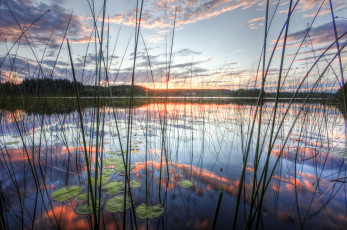 Картинка природа реки озера утро восход озеро трава