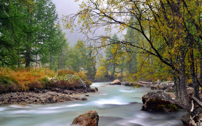 Обои картинки фото природа, реки, озера, река, лес, камни, деревья