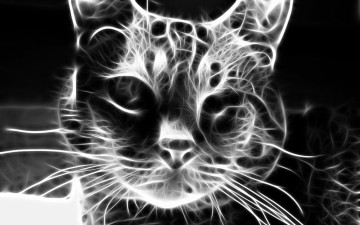 Картинка 3д графика animals животные кот