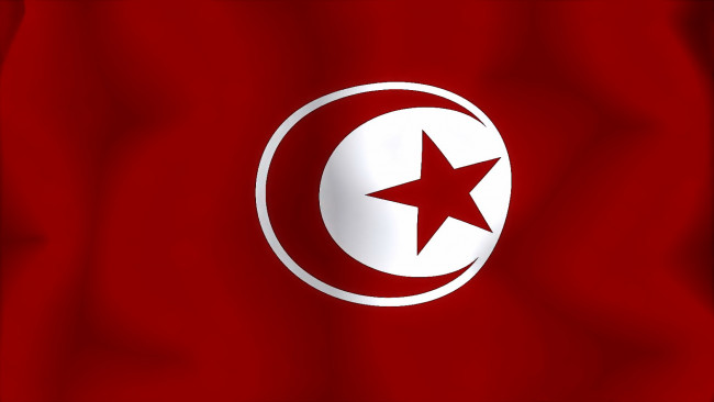 Обои картинки фото tunic, разное, флаги, гербы, флаг, туниса