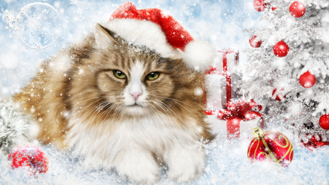 Обои картинки фото праздничные, 3д графика , новый год, кот, кошка, новый, год, украшение, игрушки, праздник
