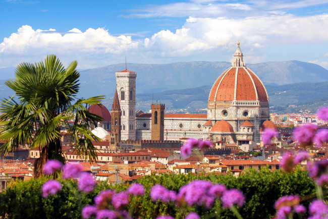 Обои картинки фото города, флоренция , италия, купол, пальмы