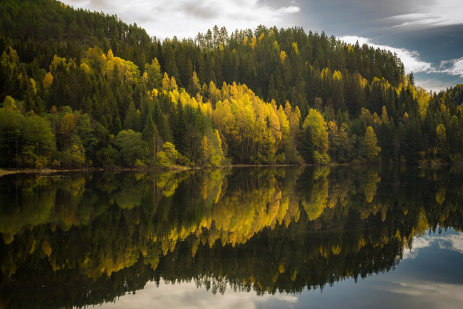 Обои картинки фото природа, реки, озера, озеро, лес