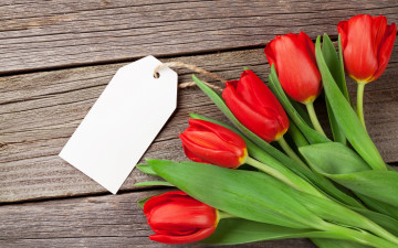 Картинка цветы тюльпаны wood love flowers red букет любовь tulips romantic
