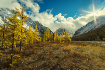 Картинка горный+алтай природа горы осень облака россия деревья горный алтай