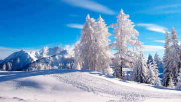 Картинка природа зима пейзаж зимний