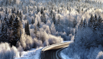 Картинка природа дороги поворот дорога пейзаж лес деревья зима иней
