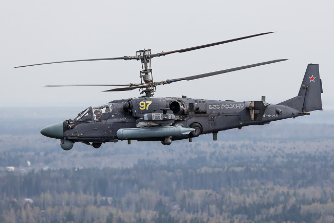 Обои картинки фото ка-52, авиация, вертолёты, вертолеты, россия, аллигатор, ударные, ввс