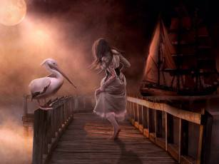 Картинка фэнтези фотоарт девушка пристань фон пеликан корабль