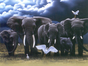 обоя рисованные, животные, слон, птица