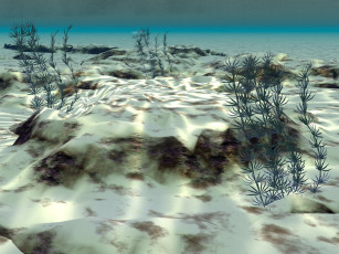 Картинка 3д графика sea undersea море водоросли вода песок