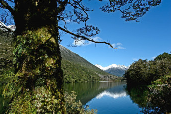 Картинка lake fergus природа реки озера fiordland