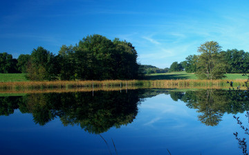 Картинка природа реки озера лето отражение река деревья
