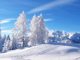 Картинка природа зима снег деревья горы