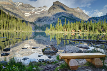 Картинка lake o`hara yoho national park canada природа реки озера ohara канада озеро скамейка камни домики лес ели горы