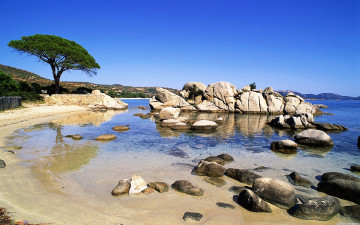 Картинка palombaggia природа побережье дерево камни пляж океан
