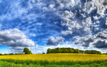 Картинка природа поля небо деревья облака земля трава