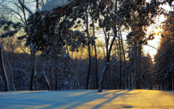 Картинка природа зима снег поляна лес
