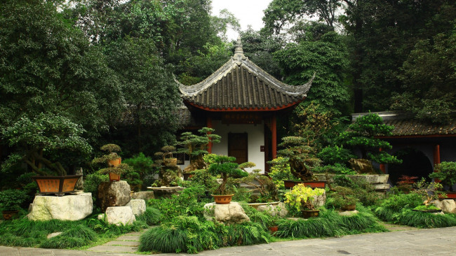 Обои картинки фото japanese, bonsai, garden, природа, парк, Япония, сад, бонсаи, здание