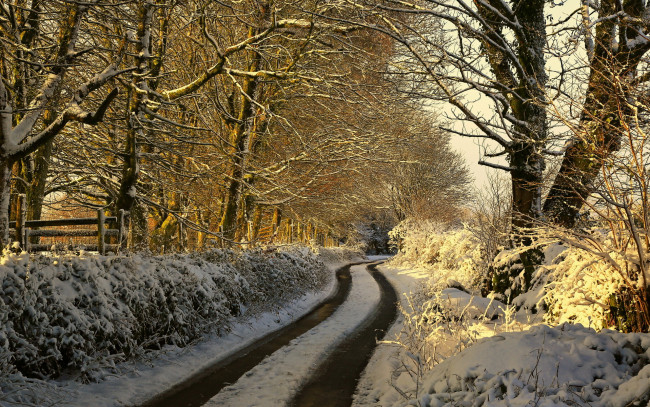 Обои картинки фото природа, дороги, утро, дорога, зима