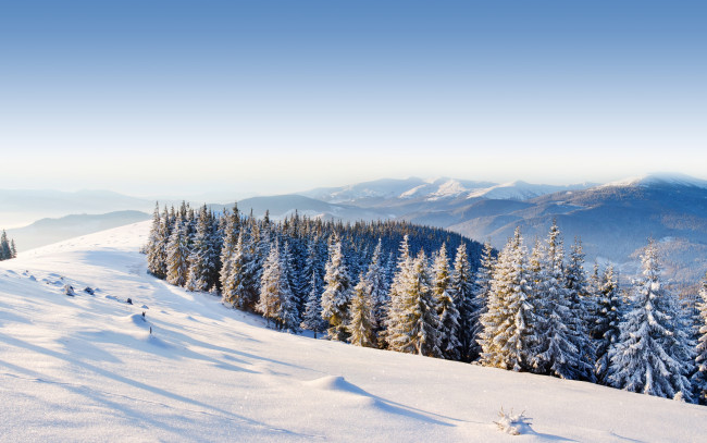 Обои картинки фото природа, зима, деревья, снег, горы