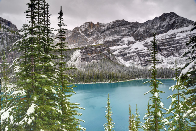 Обои картинки фото lake, o`hara, yoho, national, park, canada, природа, реки, озера, канада, озеро, ели, горы, ohara