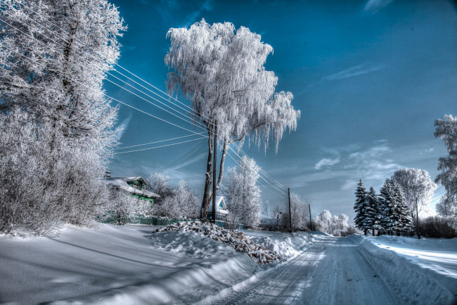 Обои картинки фото природа, зима, снег, деревья, деревня