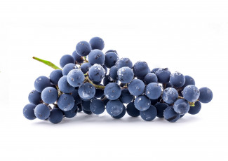 Картинка еда виноград фрукты синий