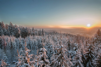 Картинка природа зима закат снег лес ели
