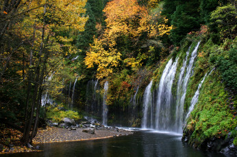 обоя mossbrae falls california usa, природа, водопады, california, лес, река, usa, водопад, mossbrae, falls