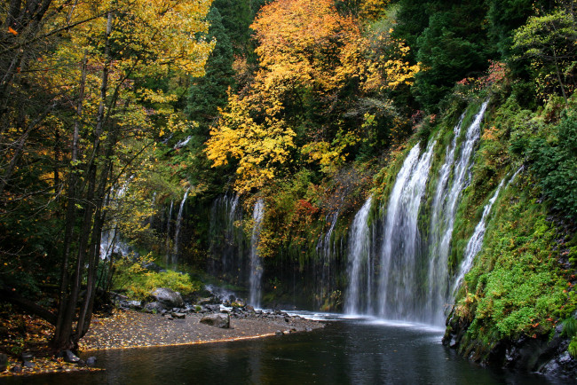 Обои картинки фото mossbrae falls california usa, природа, водопады, california, лес, река, usa, водопад, mossbrae, falls
