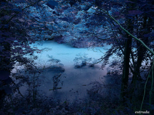 Картинка природа реки озера болото деревья лес озеро заросли