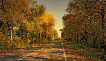 обоя природа, дороги, лес, шоссе, осень