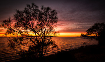 Картинка природа восходы закаты озеро берег деревья закат небо