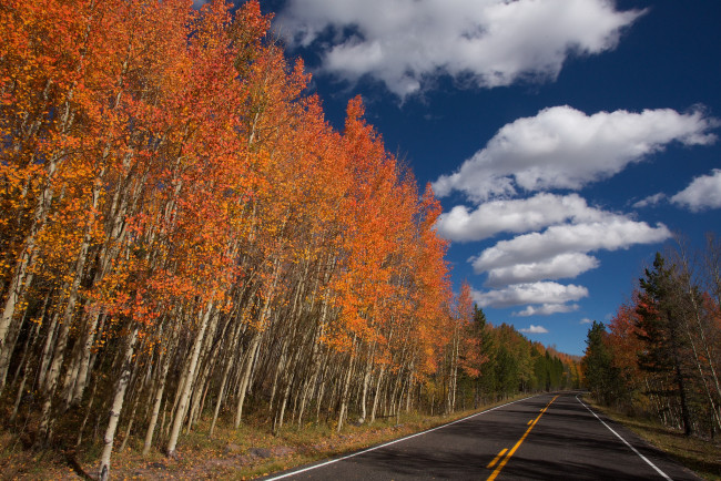 Обои картинки фото природа, дороги, небо, дорога, деревья, облака, осень