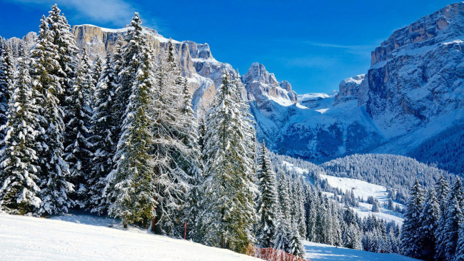 Обои картинки фото природа, горы, снег, деревья, скалы, зима, лес