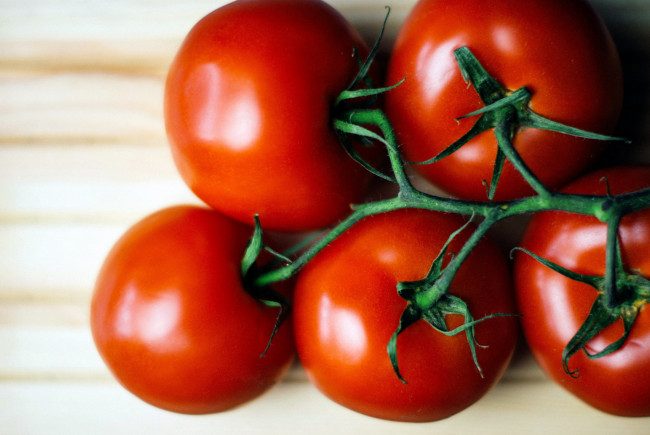 Обои картинки фото еда, помидоры, томаты, ветка