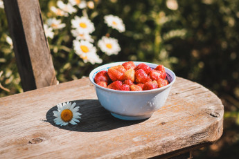 Картинка еда клубника +земляника ромашки тарелка скамейка ягоды