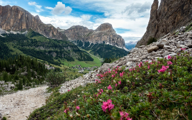 Обои картинки фото природа, горы, цветы, долина