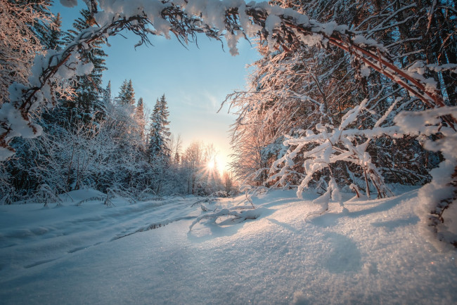 Обои картинки фото природа, зима, лес, урал, дорога, снег, россия