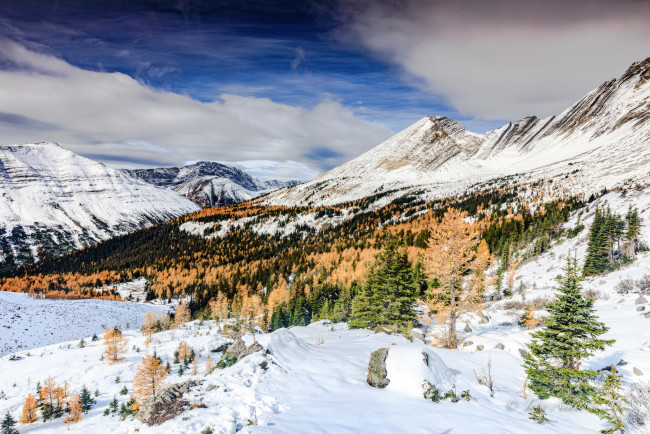 Обои картинки фото природа, зима, lake, kananaskis, снег, горы