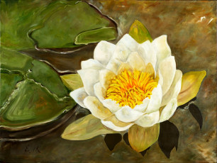 Картинка рисованные цветы цветок вода водяная лилия кувшинка