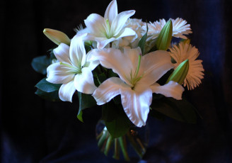 Картинка цветы букеты композиции герберы лилии белый