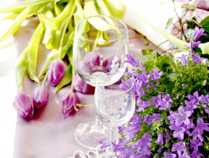 Картинка цветы разные вместе бокалы колокольчики тюльпаны
