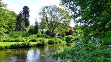 Картинка ireland mount usher gardens природа парк растения река