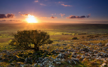 Картинка природа восходы закаты солнце дерево камни трава равнина поля