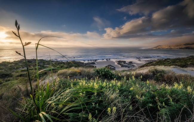 Обои картинки фото природа, побережье, тучи, трава, луг, океан