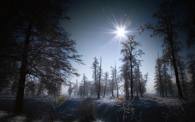 Обои картинки фото природа, зима, лучи, лес, иней, солнце