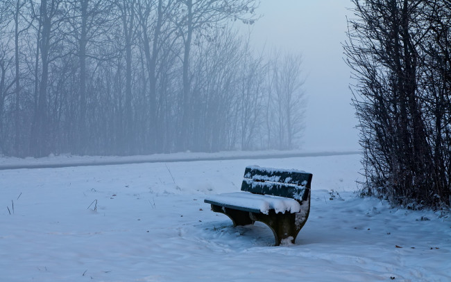 Обои картинки фото природа, зима, скамейка, деревья, снег