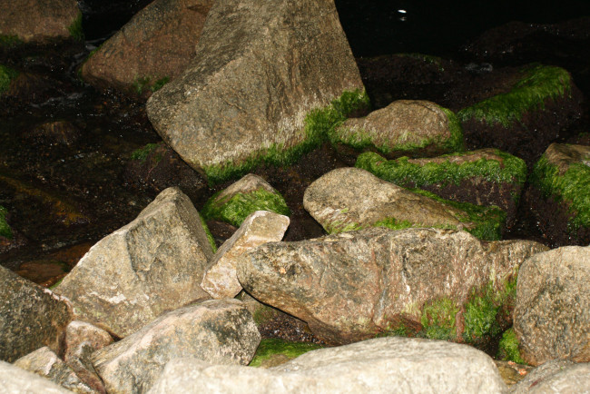 Обои картинки фото природа, камни, минералы, мох, ночь, берег